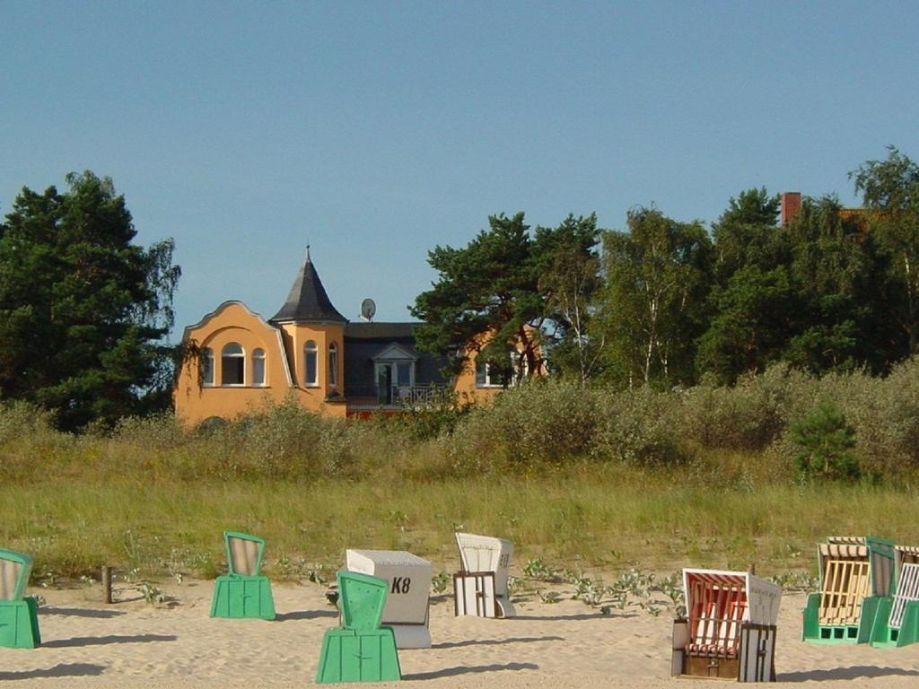 Strandrose Heringsdorf (Usedom)