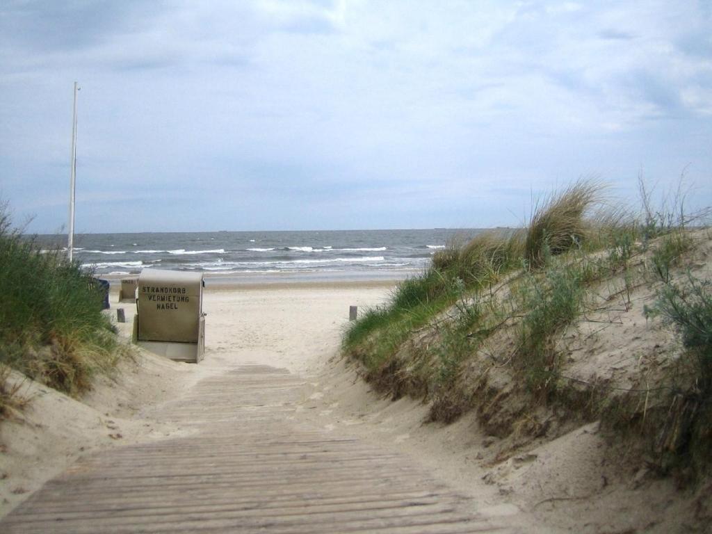 Strandrose Heringsdorf (Usedom)