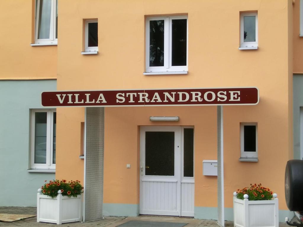 Strandrose